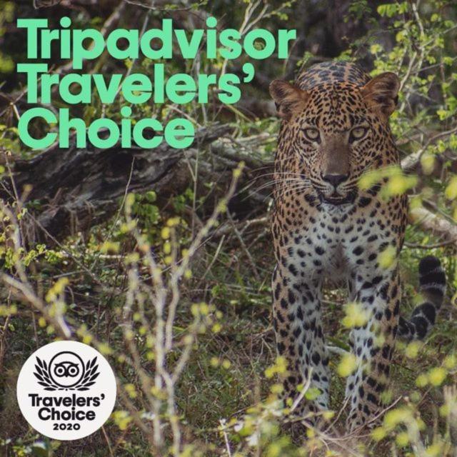 Camp Leopard - Yala Safari Glamping Hotel Екстериор снимка