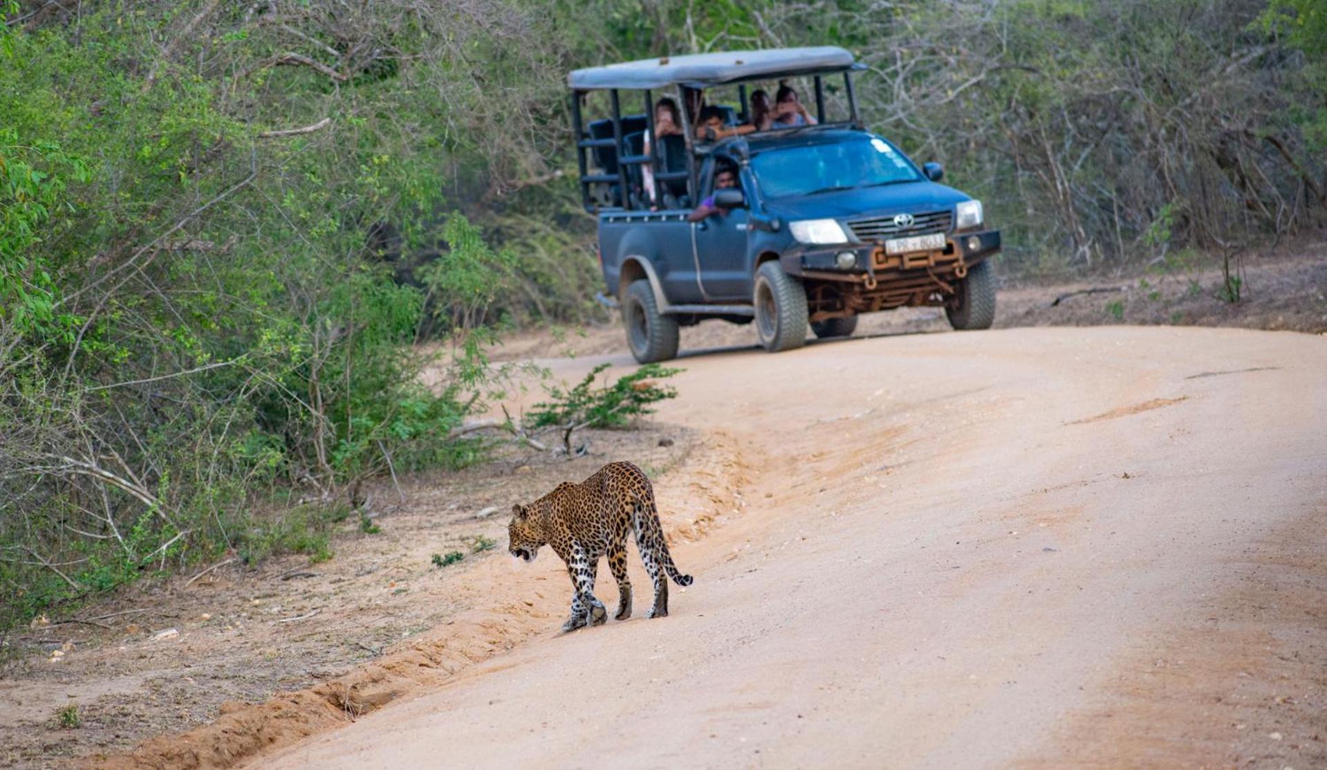 Camp Leopard - Yala Safari Glamping Hotel Екстериор снимка